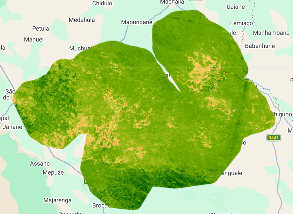 EVI2 (Índice de Vegetação Melhorado).