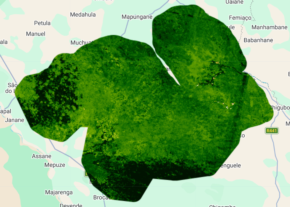 NDVI (Índice de Vegetação por Diferença Normalizada).