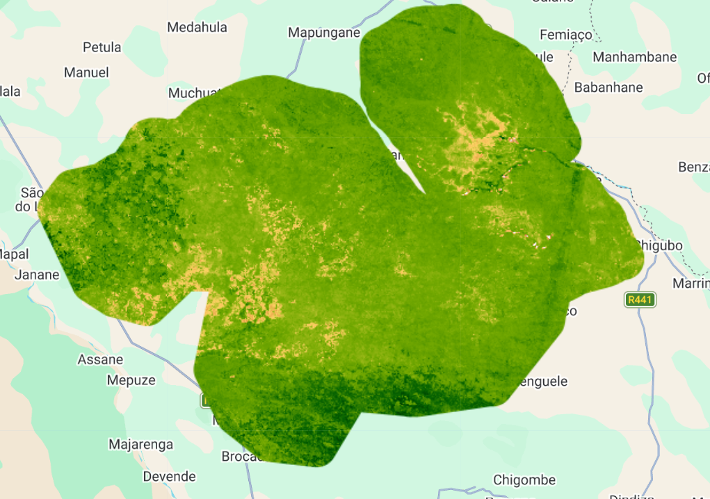 SAVI (Índice de Vegetação Ajustado ao Solo).